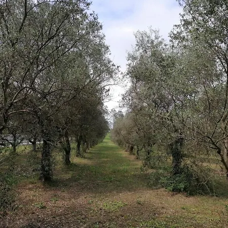 Appartamento Margherita