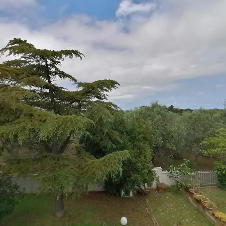 Appartamento Margherita Porto SantʼElpidio