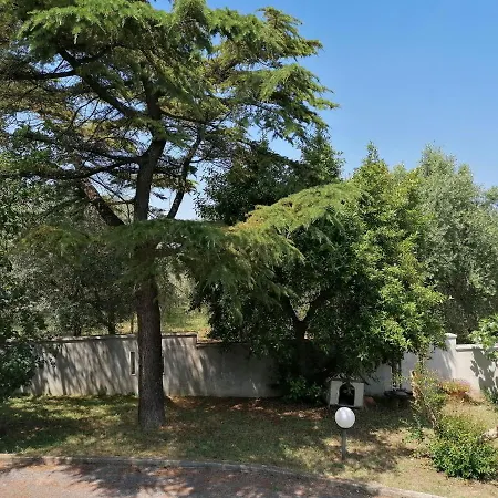 Margherita Appartement Porto SantʼElpidio