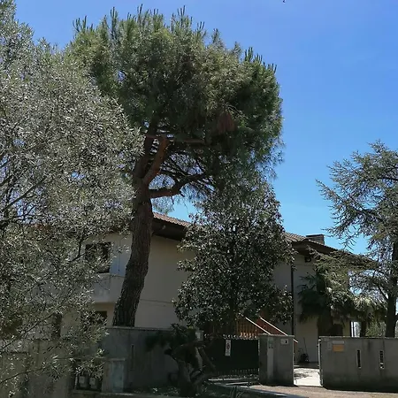 Margherita * Porto SantʼElpidio