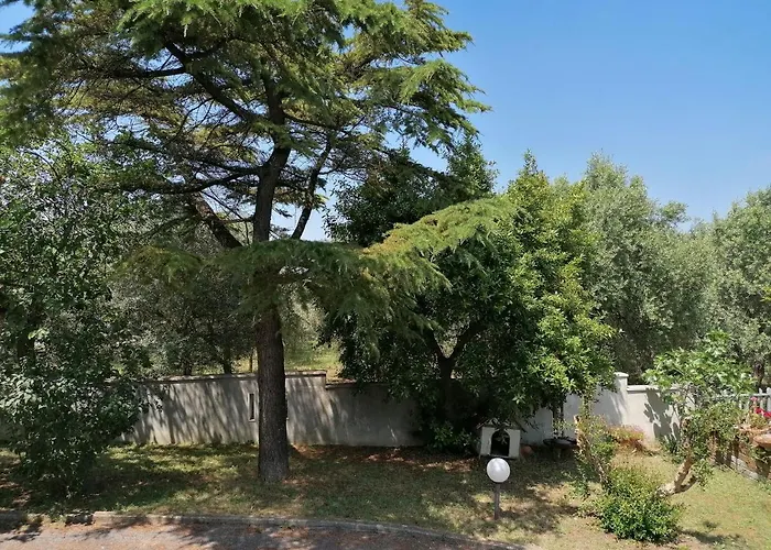 Margherita 公寓 Porto SantʼElpidio