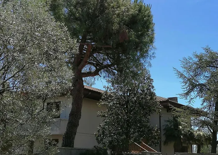 Margherita * Porto SantʼElpidio